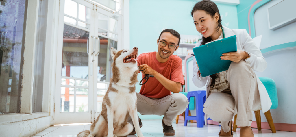 California Veterinary Clinic