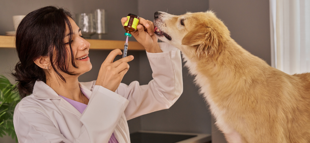 Texas Veterinary Hospital
